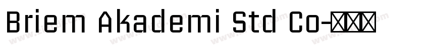 Briem Akademi Std Co字体转换